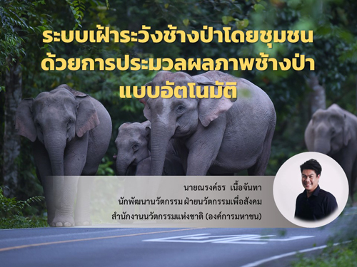 ระบบเฝ้าระวังช้างป่าโดยชุมชน ด้วยการประมวลผลภาพช้างป่าแบบอัตโนมัติ